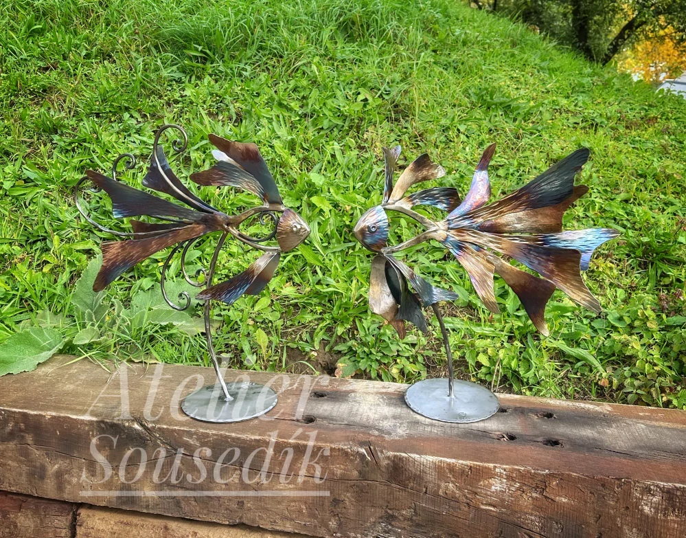 MINERVA - tajemná kráska